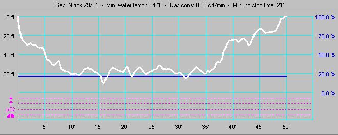 Dive profile for Palancar Caves (Dive #4)