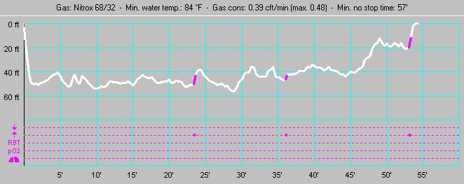 Dive profile for Chankanaab Reef (Dive #5)