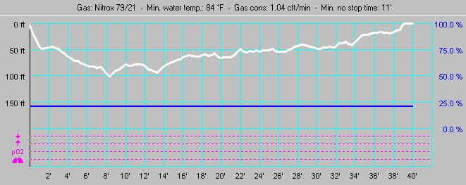 Dive Profile for The Briggs (Dive #6)