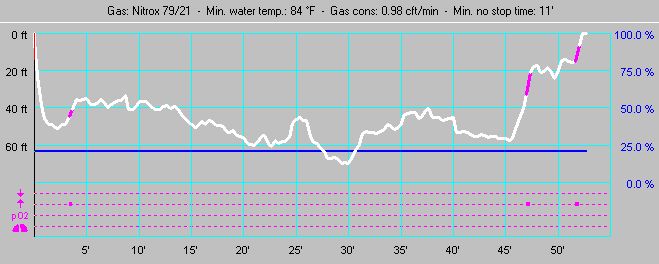 Dive Profile for Paseo Del Cedral (Dive #7)